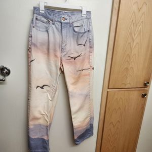 BDG Cowboy Jean Sunset Ombre